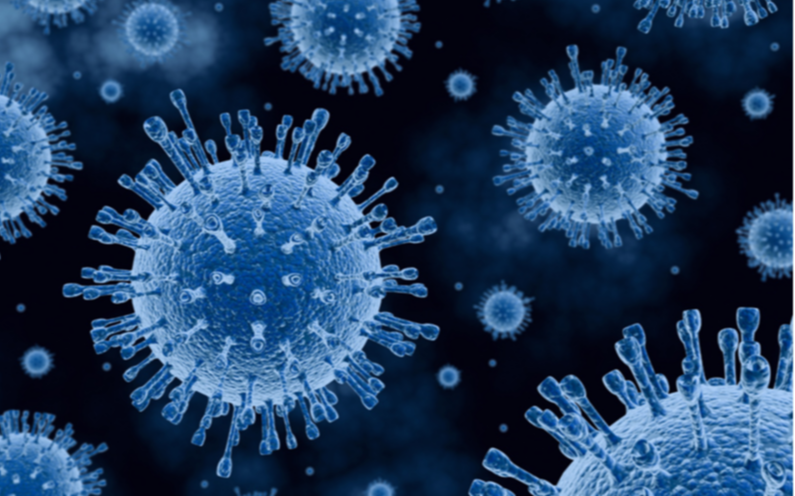 ​Строгие противоэпидемические меры необходимы для сдерживания распространения эпидемии COVID-19