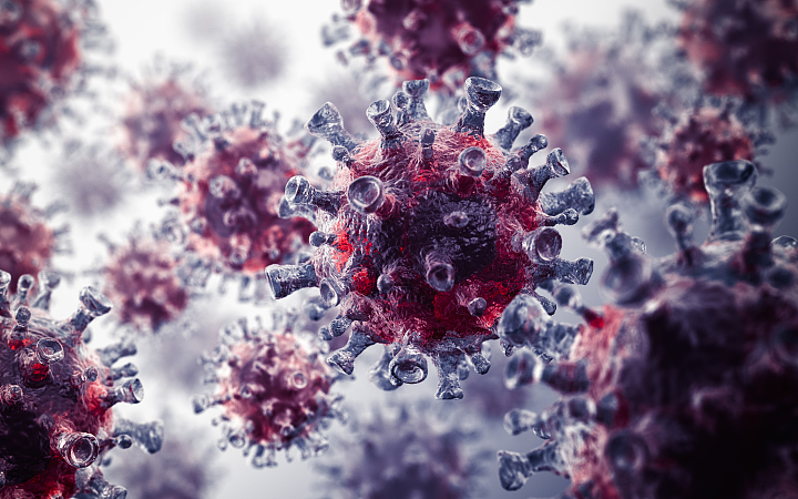 С 8 января в Китае было выявлено 7 завозных случаев заражения штаммом коронавируса XBB.1.5 и 1 местный