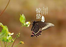 Сезон Цзинчжэ  – “Пробуждение насекомых”