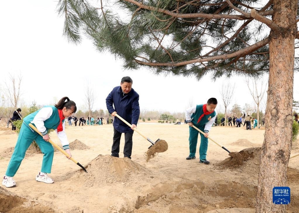 Председатель КНР Си Цзиньпин поучаствовал сегодня в высадке деревьев в Пекине