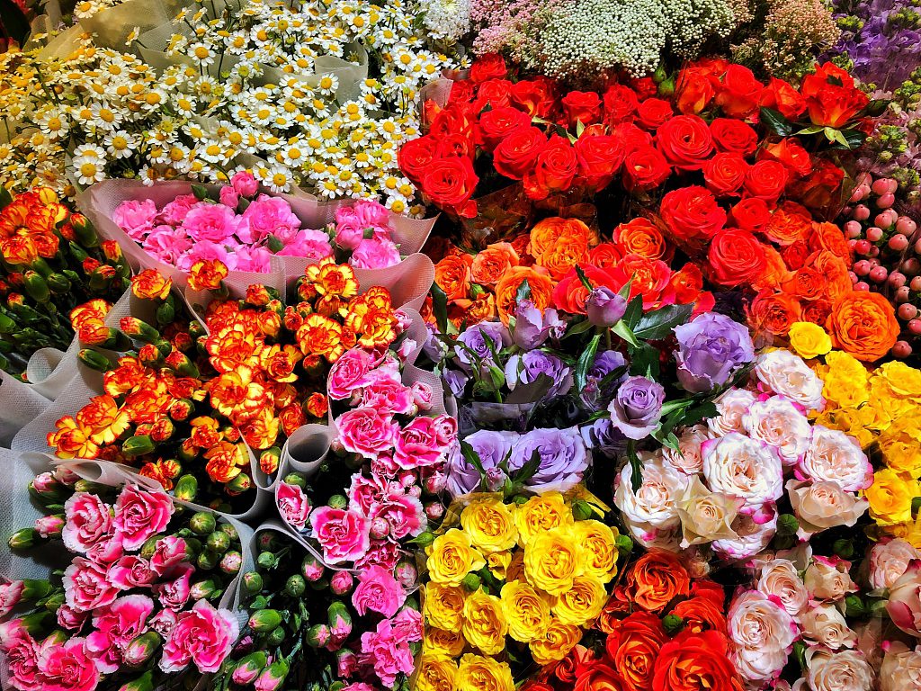 Настоящий праздник цветов начинается весной в Китае