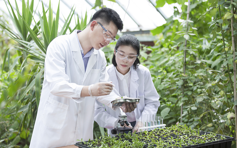 Китай будет повышать уровень биологической безопасности страны