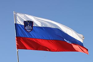 Си Цзиньпин и президент Словении Б. Пахор обменялись поздравлениями по случаю 30-летия установления дипотношений