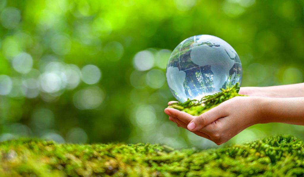 5 июня — Всемирный день окружающей среды