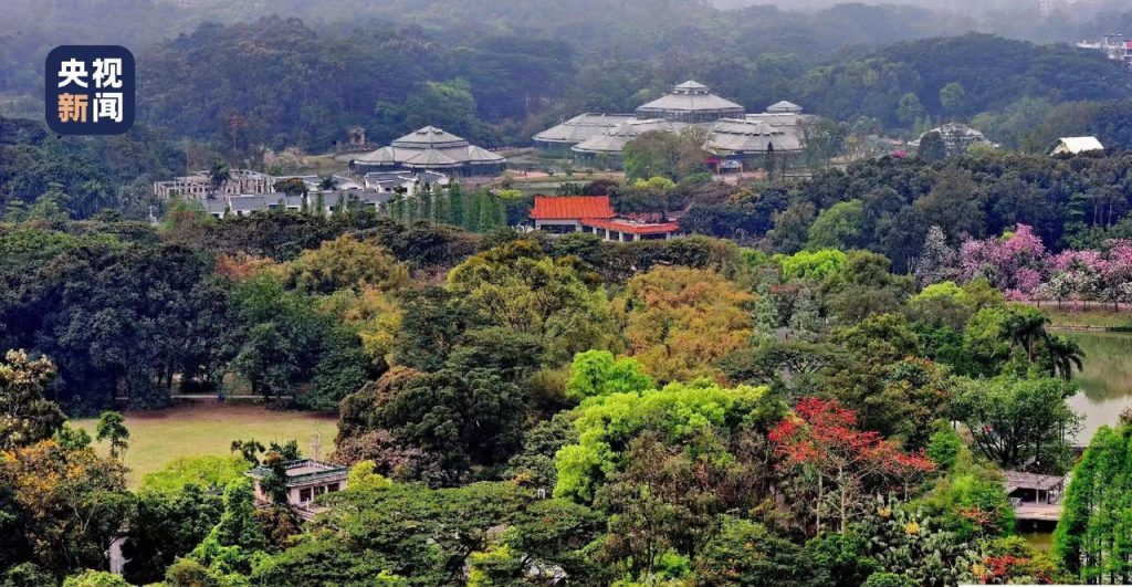 Южнокитайский национальный ботанический сад открылся в Гуанчжоу!