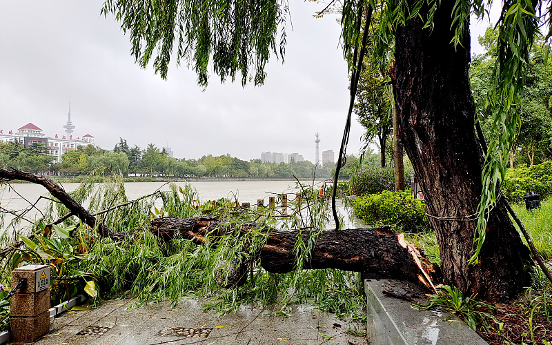 ​Тайфун «Муифа» вышел на сушу в провинции Чжэцзян