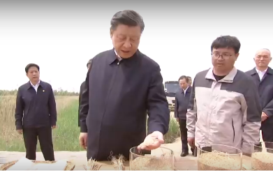 Председатель КНР проинспектировал город Цанчжоу