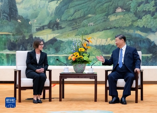 Си Цзиньпин провел встречу с президентом Международного комитета Красного Креста