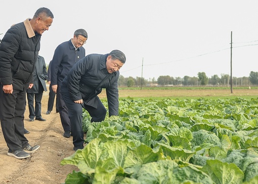 Председатель КНР Си Цзиньпин в пятницу посетил районы, пострадавшие этим летом от наводнений в Пекине и провинции Хэбэй.