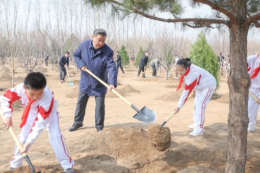 Председатель КНР Си Цзиньпин в среду принял участие в мероприятии по добровольной посадке деревьев в Пекине и призвал к общенациональному участию в лесонасаждении и озеленении для совместного построения прекрасного Китая