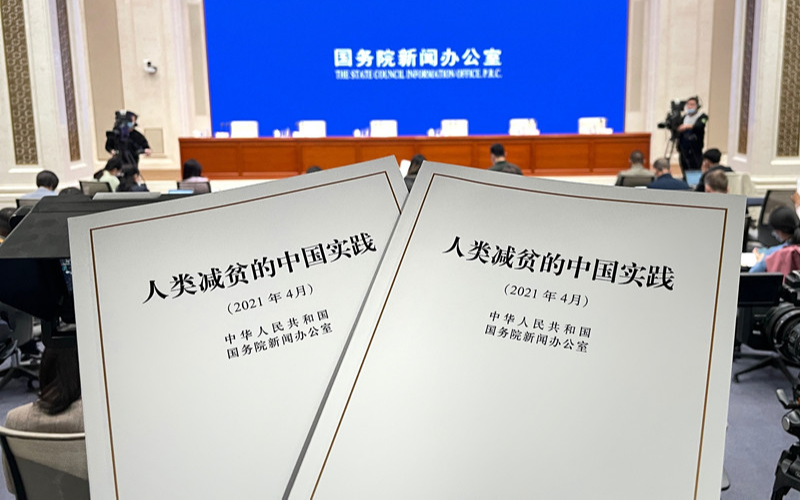 В Китае опубликована Белая книга о демократии страны