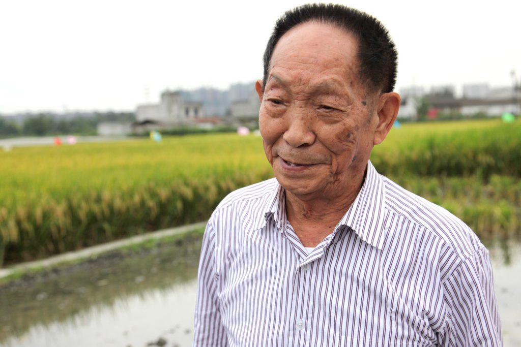 Отец китайского гибридного риса Юань Лунпин скончался в возрасте 91-го года