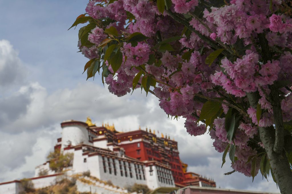 В первом квартале 2022 г. в Тибете наблюдался стабильный рост внешней торговли