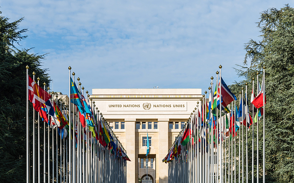 Генассамблея ООН избрала новый состав Совета по правам человека
