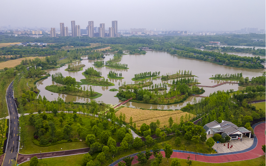 В Китае опубликован документ об охране и управлении первым национальным парком водно-болотных угодий