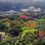 Южнокитайский национальный ботанический сад открылся в Гуанчжоу