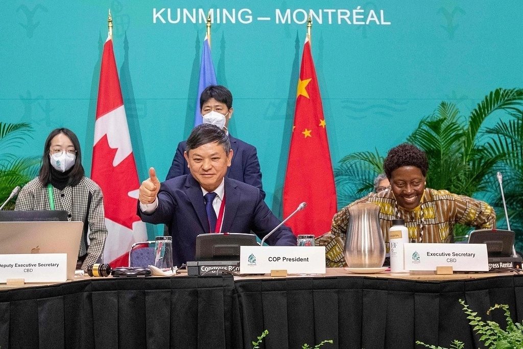 Китай в следующие два года продолжит выполнять функции председателя 15-й Конференции COP15