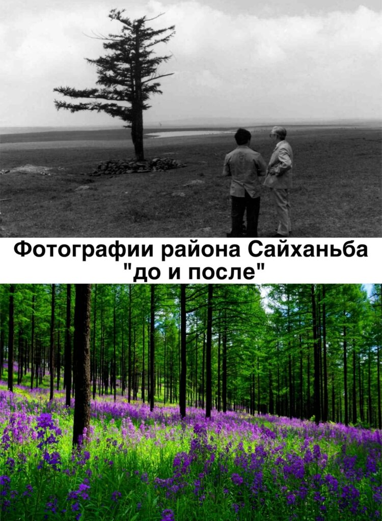 «Зеленые горы и чистая вода как золото и серебро!» — эту идею председателя КНР Си Цзиньпина воплотили в жизнь в лесном хозяйстве Сайханьба