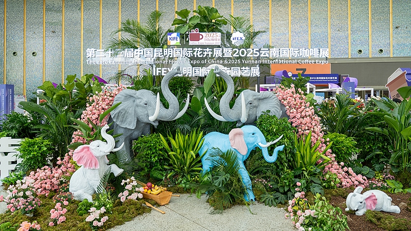 23-я Международная выставка цветов в Куньмине открывает новые возможности глобального сотрудничества